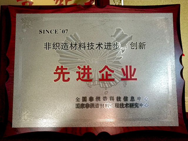 非織造材料技術(shù)進(jìn)步、創(chuàng)新－先進(jìn)企業(yè)
