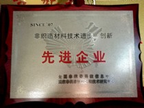 非織造材料技術(shù)進步、創(chuàng)新－先進企業(yè)